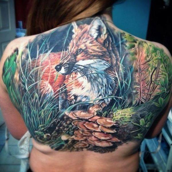Fox back