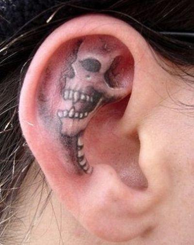 Skull ear