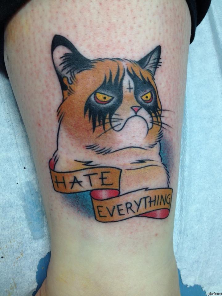 Hate everything cat
