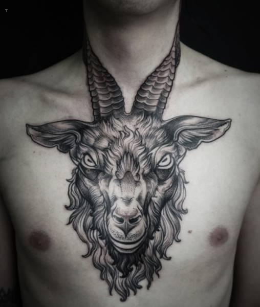 tattoo, Goat Goat chest tattoo