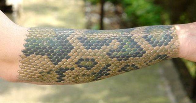 Snake skin