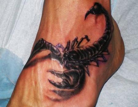 Scorpion
