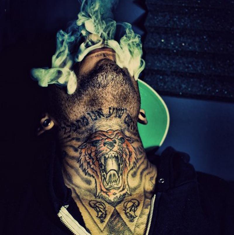 tiger