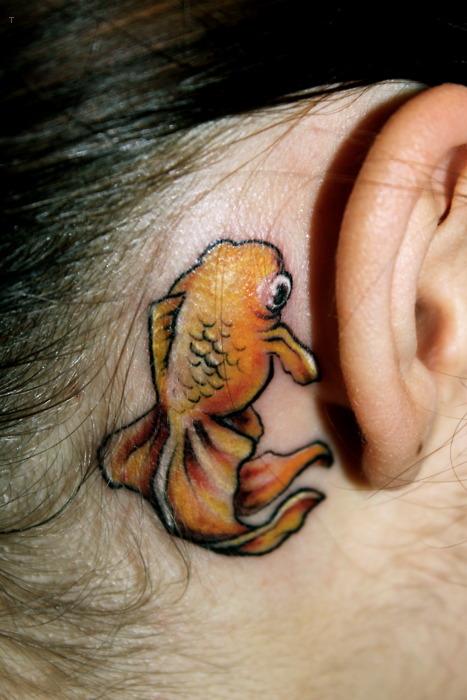 Goldfish